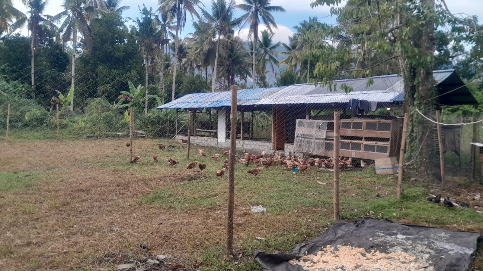Kegiatan Pondok Pesantren Darussalam Bacan - Foto 17