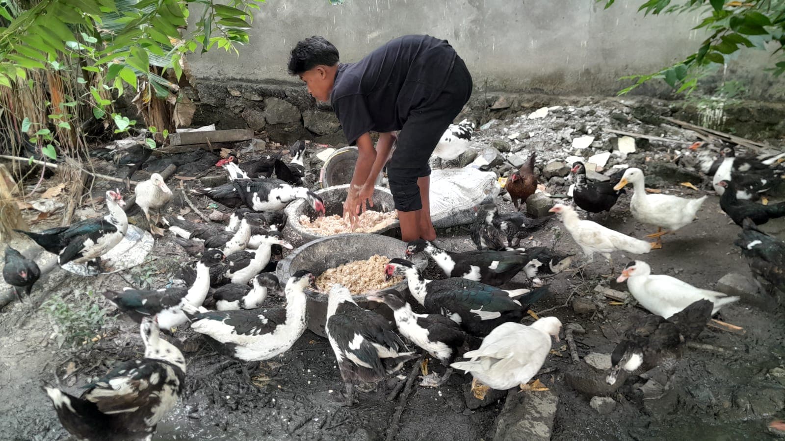 Kegiatan Pondok Pesantren Darussalam Bacan - Foto 22