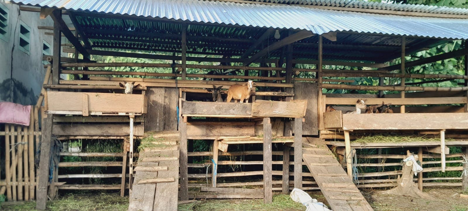 Kegiatan Pondok Pesantren Darussalam Bacan - Foto 29