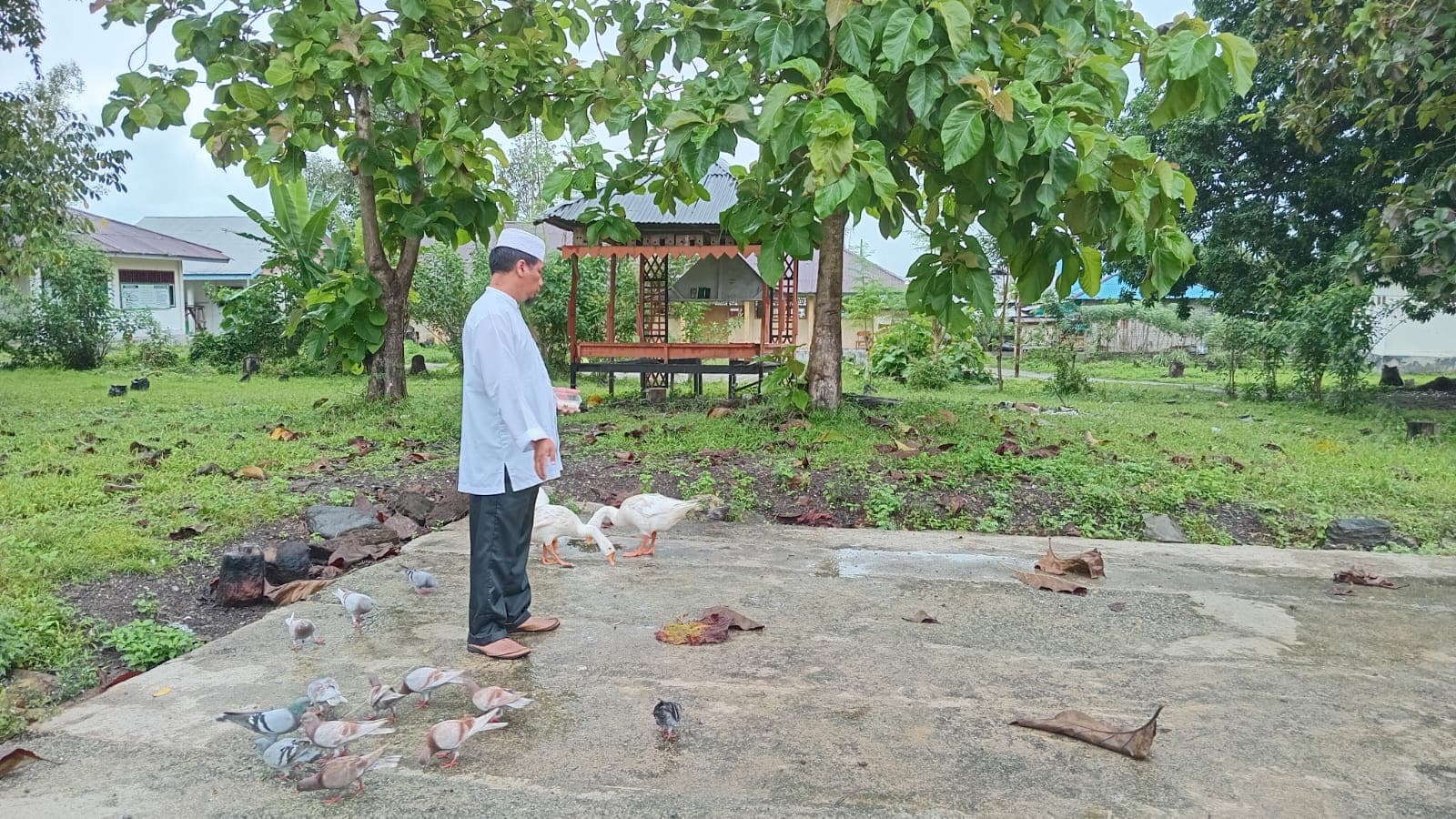 Ternak unggas di lingkungan pesantren Darussalam Bacan